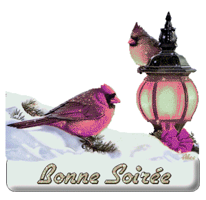 Gif animé bonne soirée oiseau